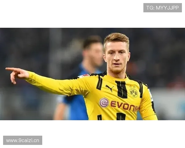 德甲君特边路 德甲君特边路