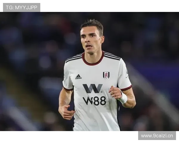 帕利尼亚葡萄牙国家队主力后腰地位解析