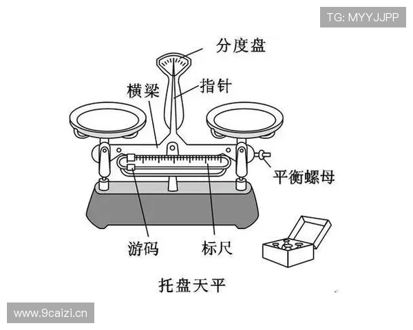 赖斯与贝林厄姆攻守平衡结构对比分析